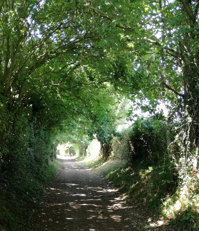 Les chemins creux à Coulaines